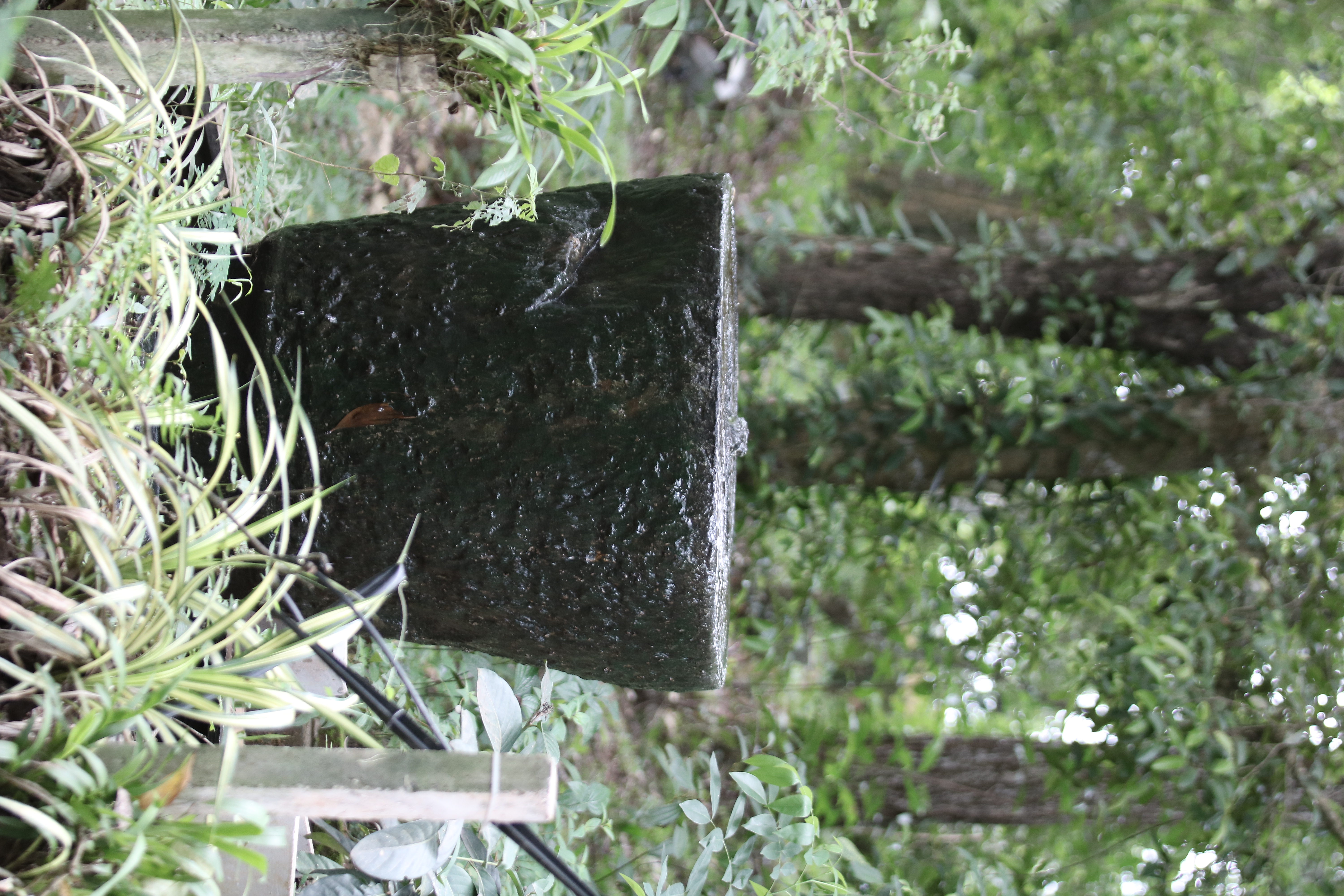Spice Garden Walk